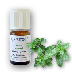 ARTTEC Máta peprná bio (Mentha piperita), Mäta prieporná